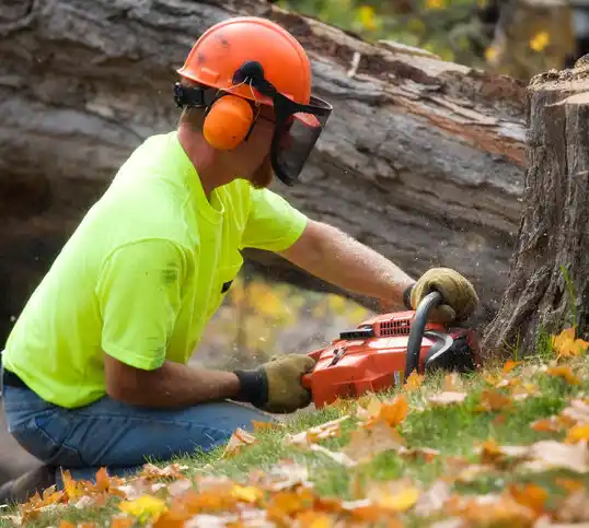 tree services Vernon Valley